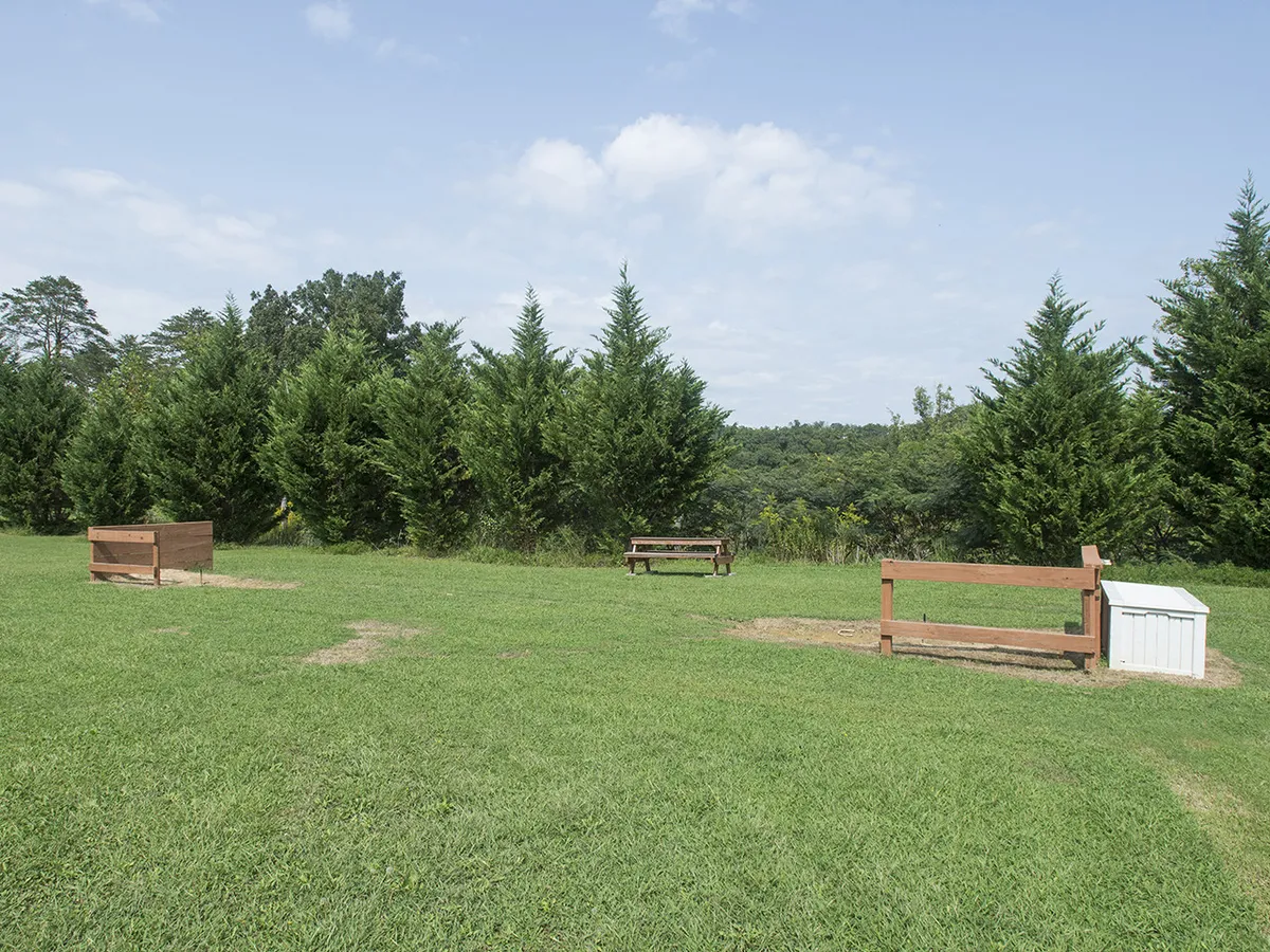This tranquil scene captures a grassy area with benches shaded by trees and a distant view, ideal for picnicking, relaxing, or nature observation. The peaceful setting emphasizes the resort’s spacious outdoor amenities for families to enjoy together.