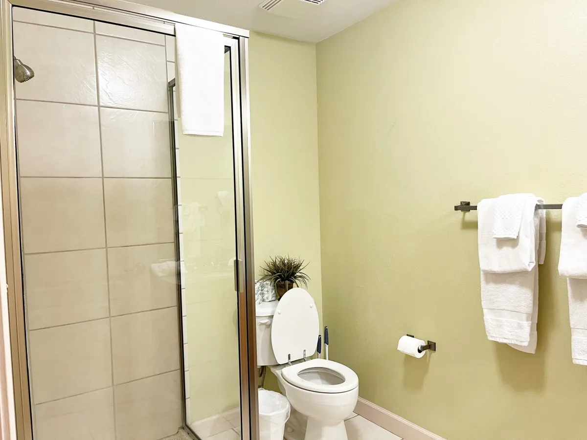 A modern bathroom with a glass-door shower, toilet, hanging towels, and a small plant for a refreshing touch. The space is bright and clean, perfect for self-care routines.