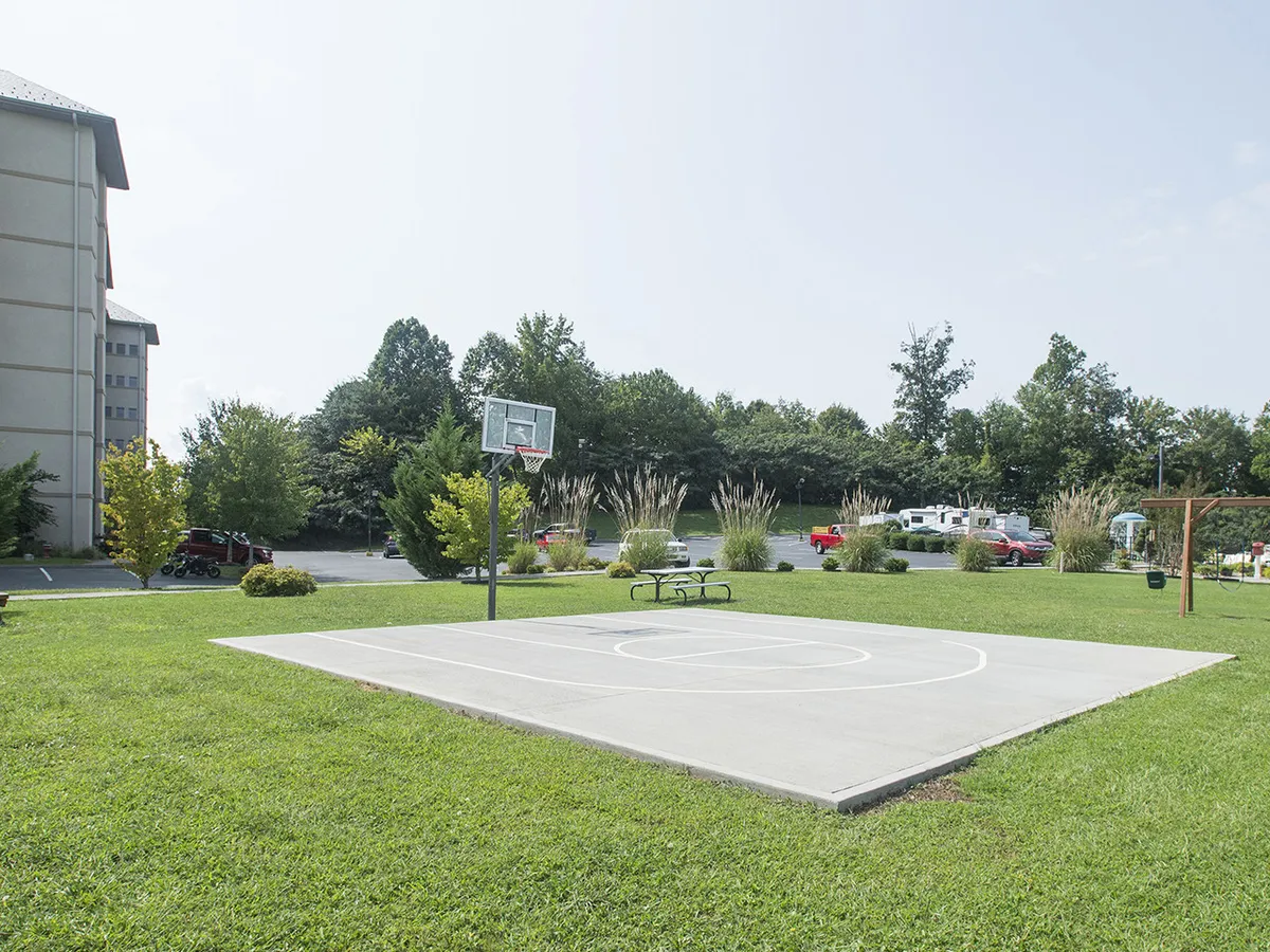 An inviting basketball court surrounded by lush greenery and a park bench, perfect for casual games and community gatherings. The space feels open and encourages active recreation within a peaceful setting.